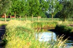 Aa