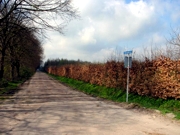 HollandseDreef