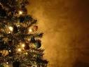 Kerstboom