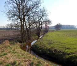 Spillebeek