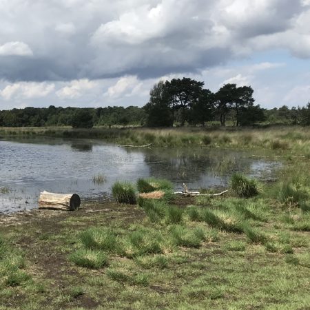 Heidevierkant